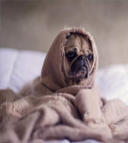 恩施有这样的手机号码，留不住钱，你中枪了吗？