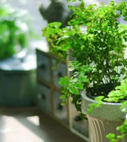 恩施专属于你的开运指南，助你鸿运当头福满身！