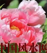 恩施预示你财运上升，姻缘可成的梦境，快来看看吧！