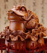 恩施解读金蟾最合适的位置，这样摆放更招财！