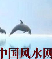 恩施做梦梦到这些，是要富裕的征兆！